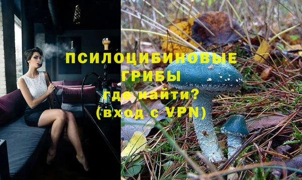 Альфа ПВП Алзамай