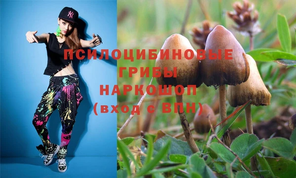 герыч Абинск