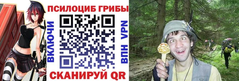 Псилоцибиновые грибы прущие грибы  где можно купить наркотик  Донецк 