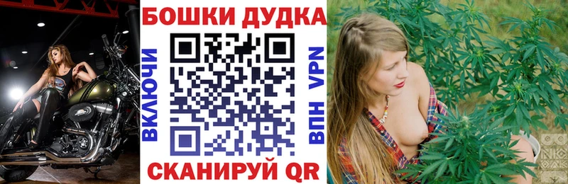 магазин продажи наркотиков  OMG ONION  Бошки Шишки сатива  Донецк 